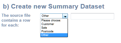 What is the format of your record level file?